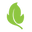 Balance of Nature