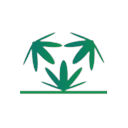 Dr. Hemp Me