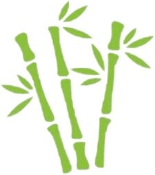 everythingbamboo
