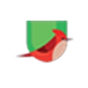 Flycatcher Toys