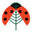Ladybirdplantcare