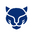 Panther Armor