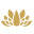 Satya Jewelry