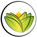 The Ayurveda Experience